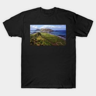 Summer at Macquarie Island & the Research Station T-Shirt